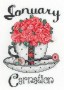 TEACUP_BIRTH_FLO_JAN