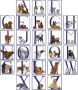 COMPLETE_ALPHA_D_525cd61e7d7fe.jpg
